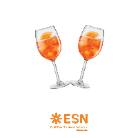 Venice Spritz Sticker by ESN Venezia