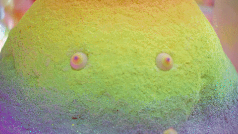 meowwolf giphyupload meow wolf meowwolf meow wolf santa fe GIF