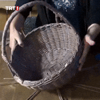 Go Away GIF by TRT