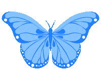 Blue Butterfly Fly Sticker by Bel Diniz