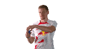 Red Bull Football Sticker by RB Leipzig