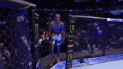 Sport GIF by UFC