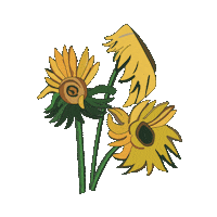 art fashion Sticker by HOKK FABRICA