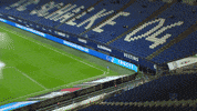Football Soccer GIF by FC Schalke 04