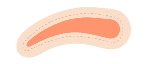 Beauty Eyebrows Sticker by Bambii B