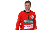 Handball-Bundesliga Fun Sticker by LIQUI MOLY HBL