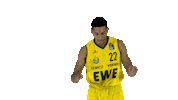 Ewe Baskets Basketball Sticker by EWE Baskets Oldenburg