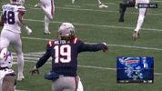 Nfl Football Celebration GIF by New England Patriots