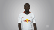 rb leipzig GIF by Bundesliga