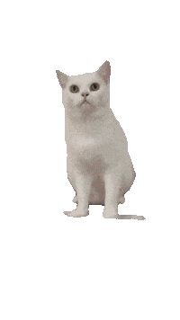 Zzzzoey cat kami kamicat Sticker