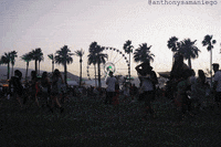 ice cube festival GIF by anthony samaniego