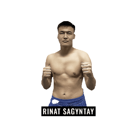 Mixed Martial Arts Mma Sticker by BRAVE Combat Federation