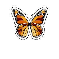 Eb Epidermolysis Sticker by DEBRA International Youth Council - DIYC