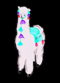 Pitusa llama alpaca pitusa pitusaflagship GIF