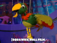 season 5 GIF by SpongeBob SquarePants