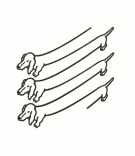 dogs GIF