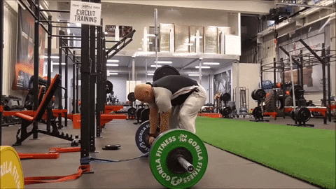 step9191 giphyupload GIF