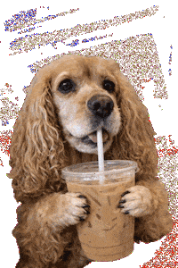 dogue_coffee specialty coffee dogue dogue coffee dogue specialty coffee Sticker