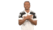 Bobby Reid Goal Sticker by Fulham FC