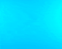 PhilipColbert nike just do it lobster claw GIF