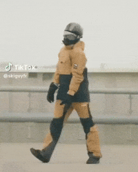 skiguyfr dance dancing ski clones GIF