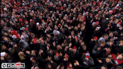 Ncaa Sports GIF by Ohio State Athletics