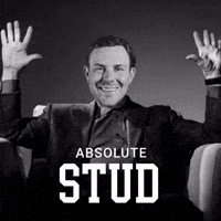 Kentucky Wildcats GIF