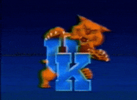 Kentucky Wildcats GIF