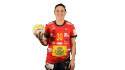 Handball Spain Sticker by EHF