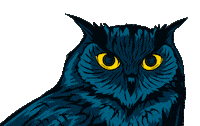 Eyes Owl Sticker by bexid.de