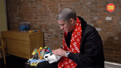 Bad Bunny GIF by BuzzFeed
