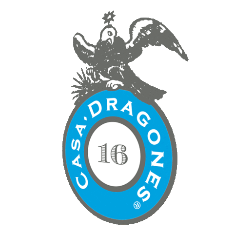 Party Fun Sticker by Casa Dragones
