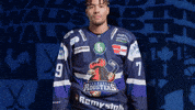 Celebration Hockey GIF by Iserlohn Roosters