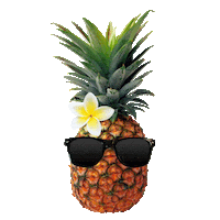 summer travel Sticker by Barefoot Communications