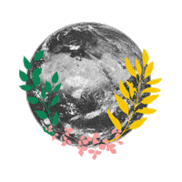 dscensui cens censui Sticker
