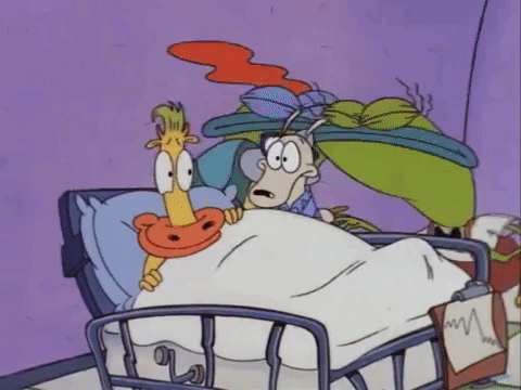 rockos modern life nicksplat GIF