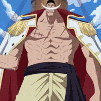 Get One Piece GIF
