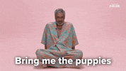 Taika Waititi Puppies GIF by BuzzFeed