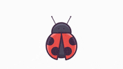 Animation Summer GIF by Flat-icons.com