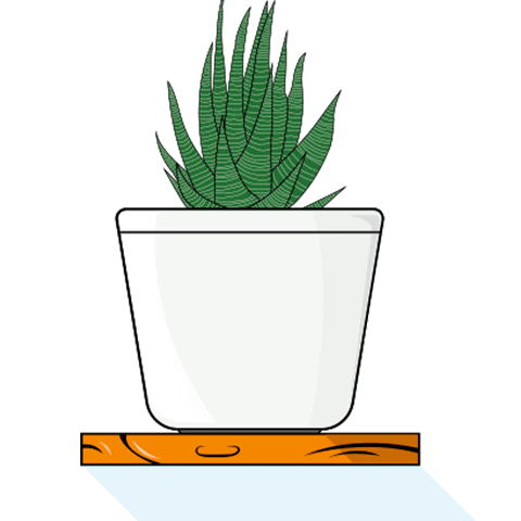 arturocruz16 giphyupload plantas diseñografico suculenta Sticker