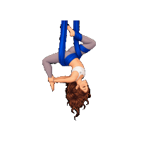 Upside Down Inversion Sticker