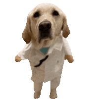 Casey Sticker by OHSU