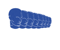 enemsummit Sticker by Objetivopi