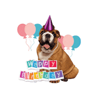 Happy Birthday Festa Sticker by bulldogclub