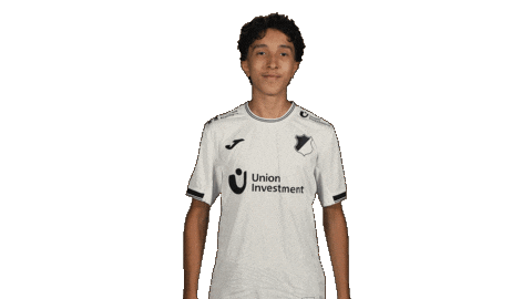 Tsg Hoffenheim Football Sticker by Bundesliga