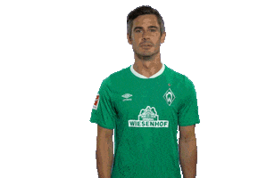 Fin Bartels Dance Sticker by SV Werder Bremen