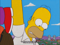 homer simpson GIF