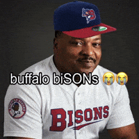 Buffalo Bisons Son GIF