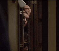 papa stefanie GIF by VTM.be