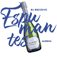 Brinde Espumantes Sticker by Vinícola Aurora